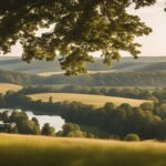 Brant County Scapes